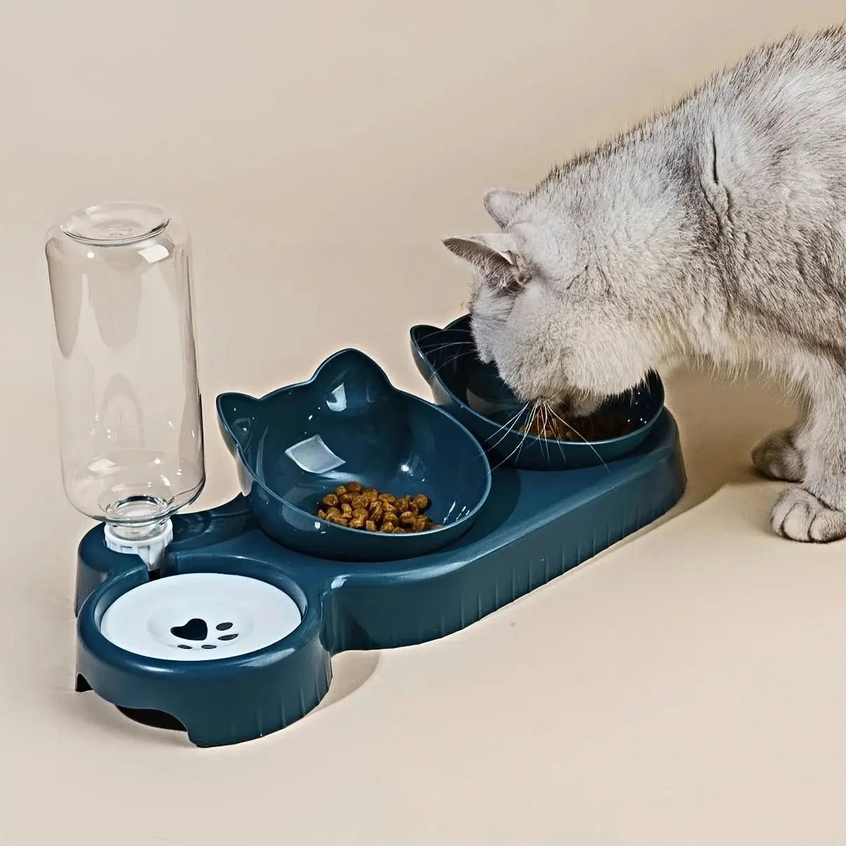 3 - in - 1 Pet Bowl with Water Dispenser - ZinPetCare
