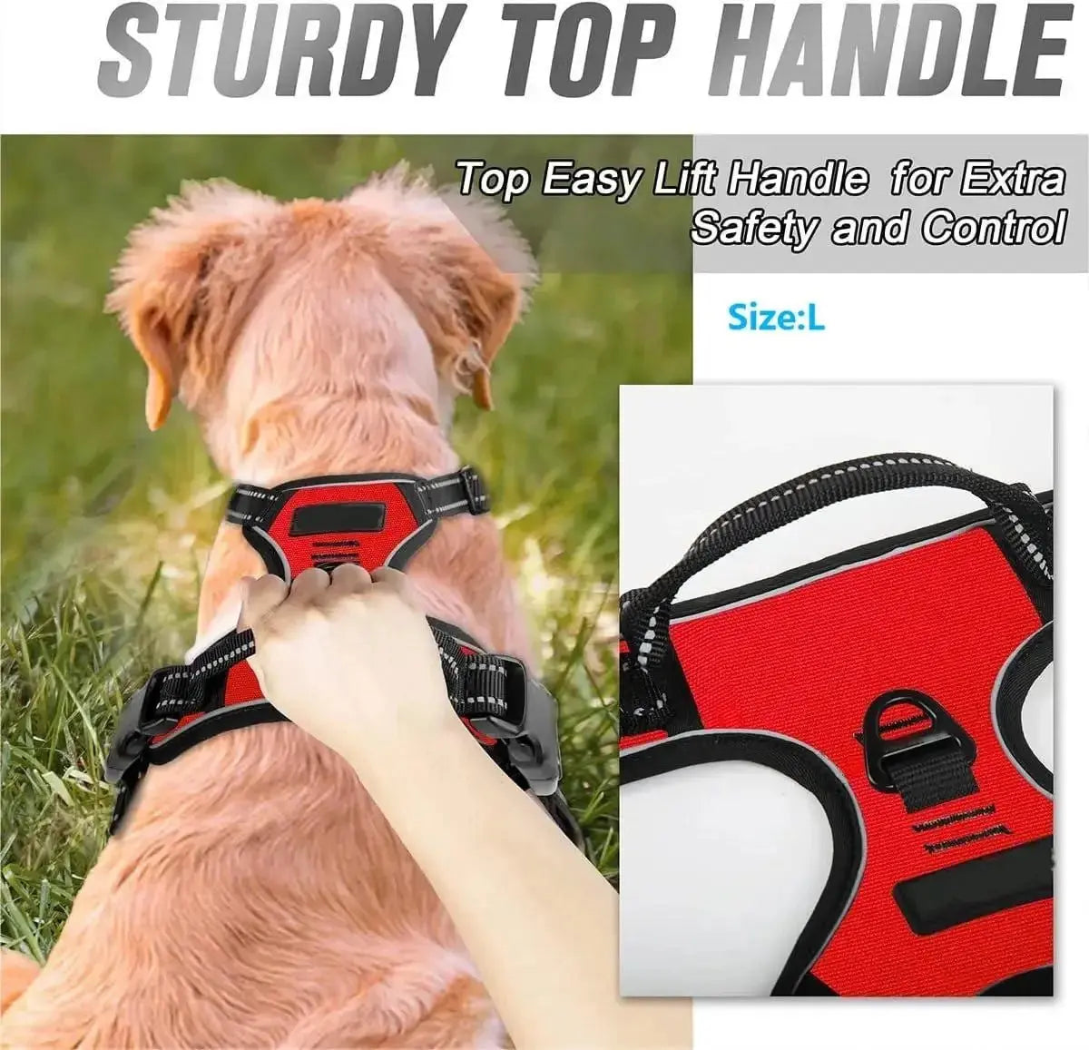 Adjustable No - Pull Dog Harness with Leash – Comfortable Fit for All Breeds - ZinPetCare