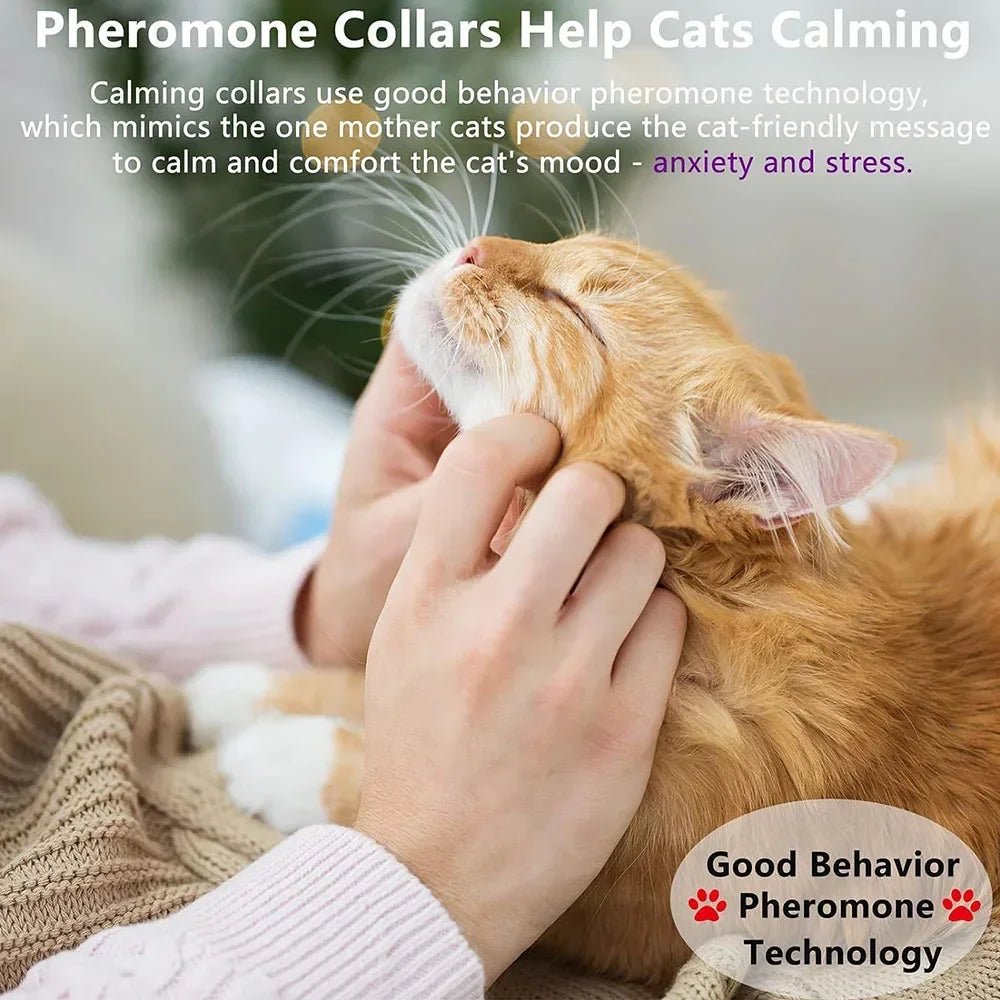 CalmPaw™ Anti - Anxiety Collar - ZinPetCare